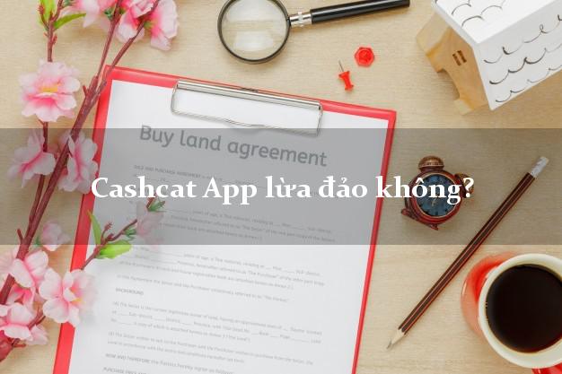 Cashcat App lừa đảo không?