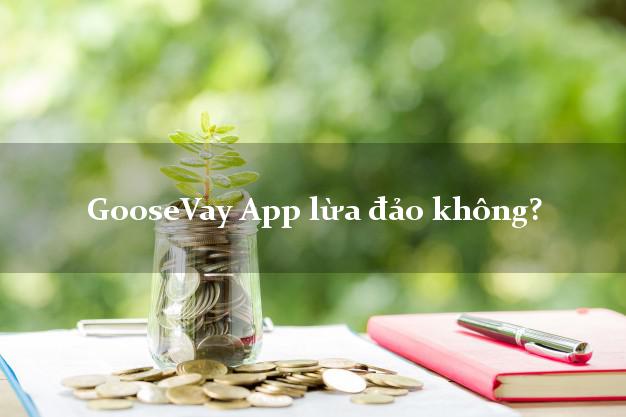 GooseVay App lừa đảo không?