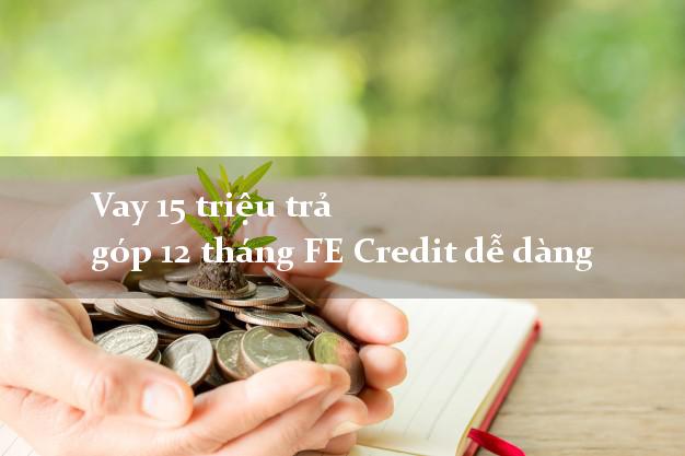 Vay 15 triệu trả góp 12 tháng FE Credit dễ dàng